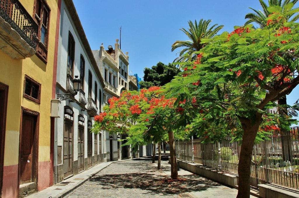 Apartamento Bien Situado - Buenas Conexiones 圣克鲁斯-德特内里费 外观 照片